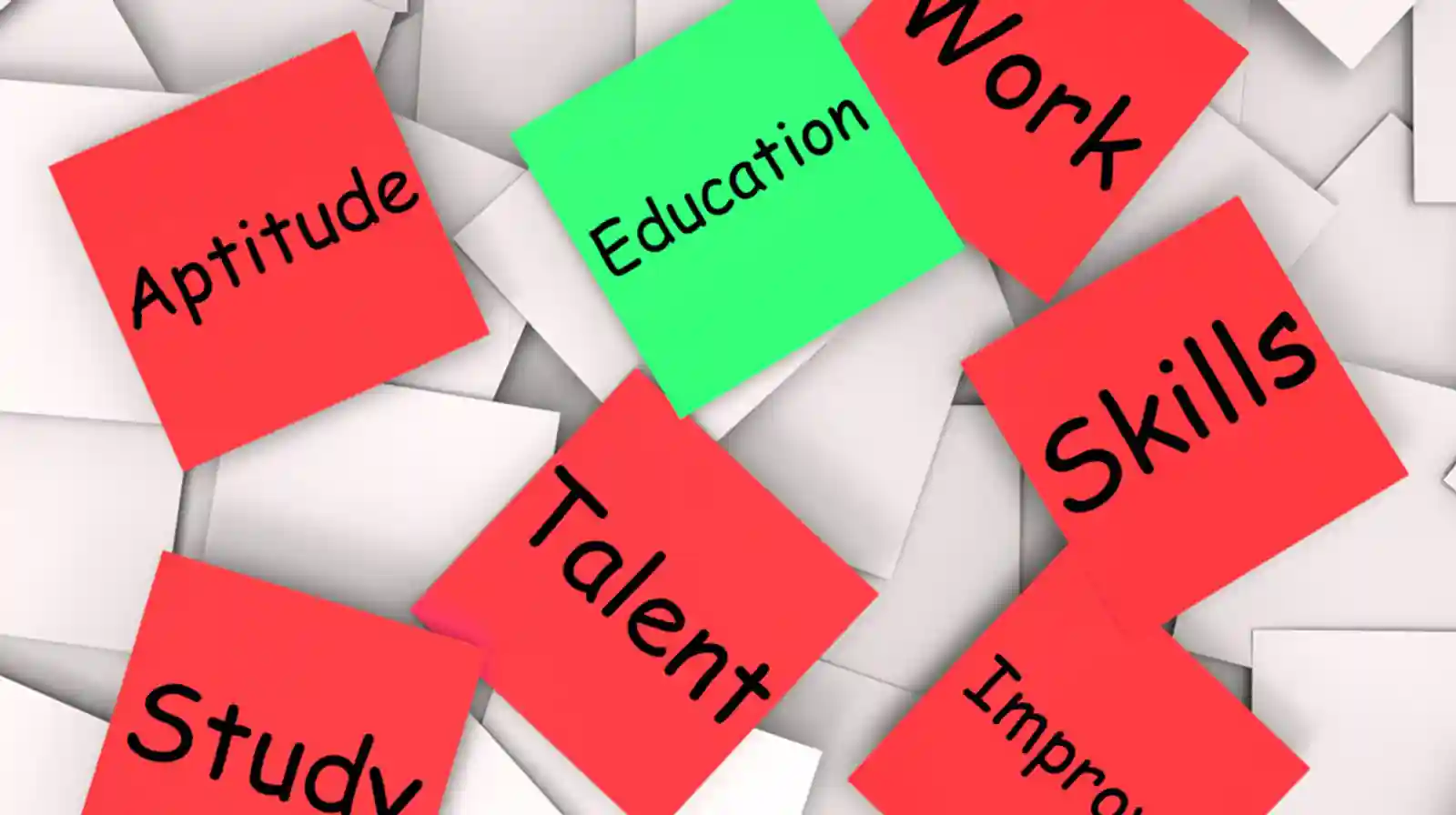 What are Businesses Dependent Upon the Most? Education or Skills