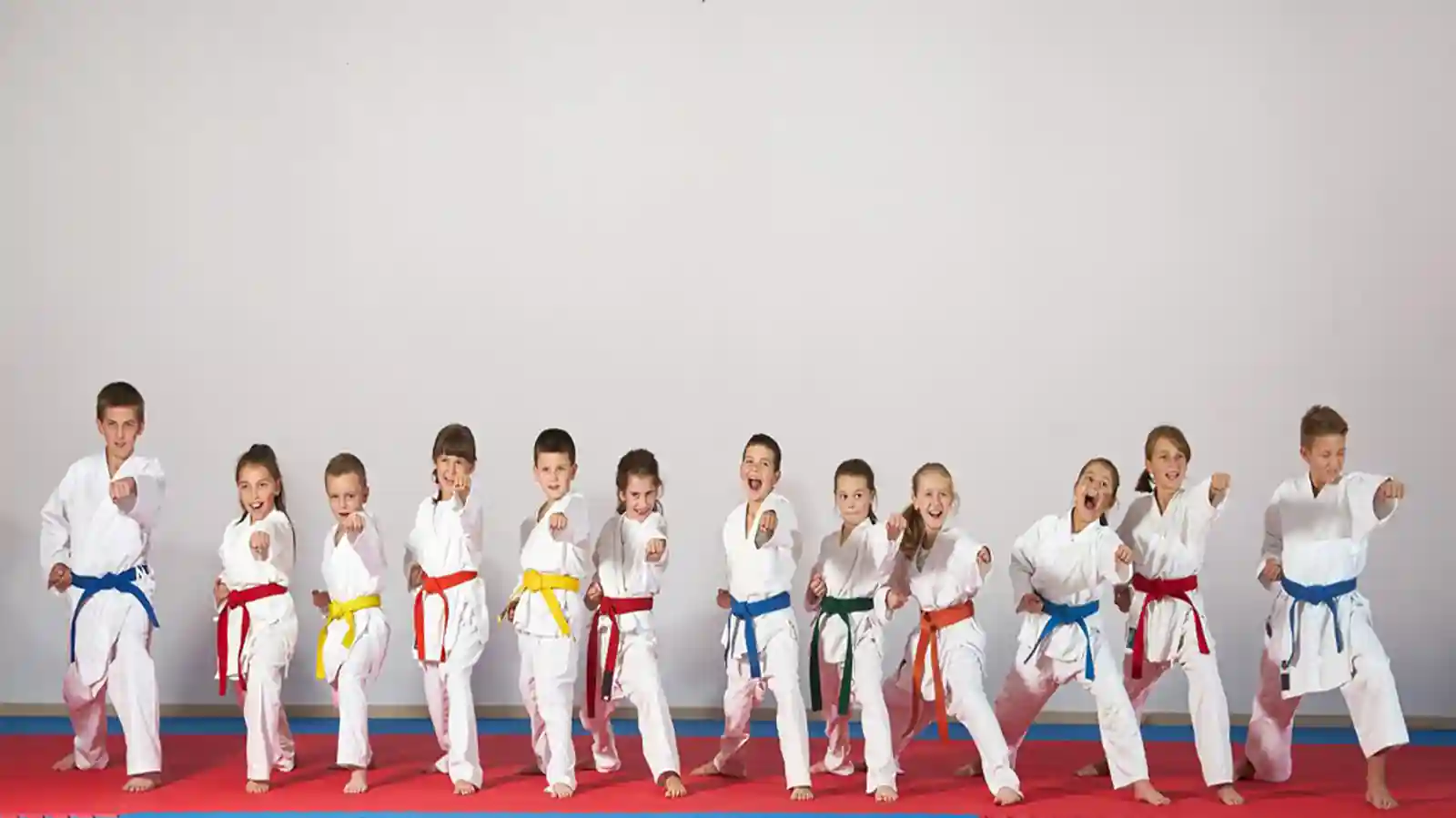 Consider These Points Before Establishing A Martial Art School Business