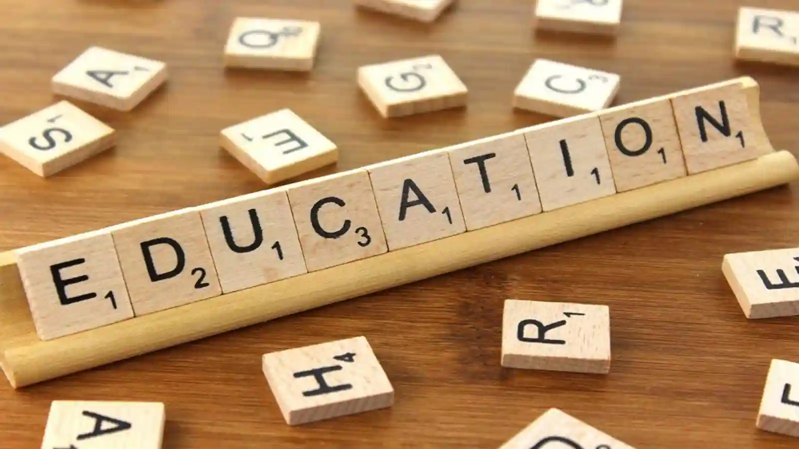 How Big is Indian Education Sector for Budding Edupreneurs?