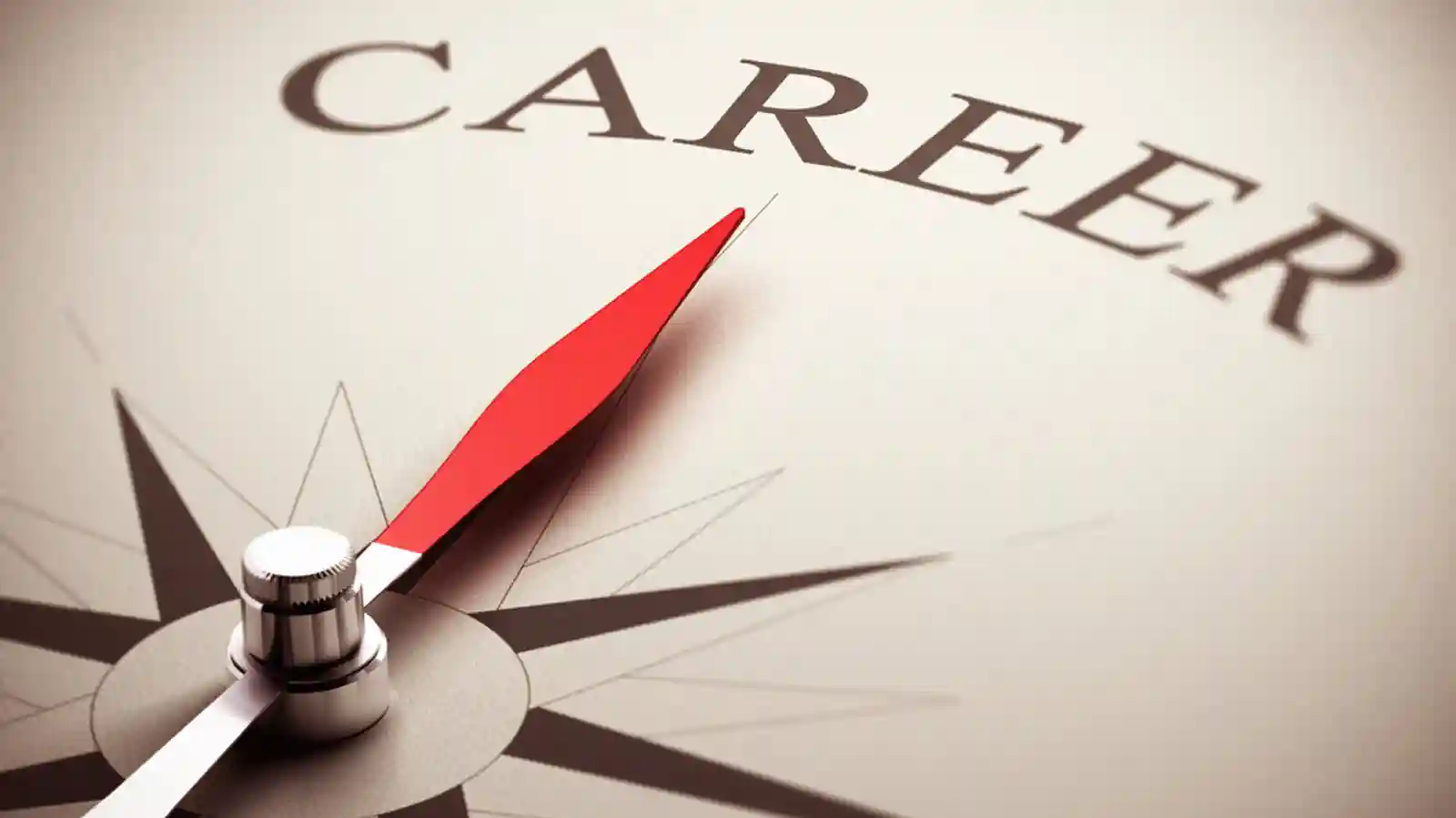 How Brainwonders Is Revolutionising the Career Counselling Market Via Franchising