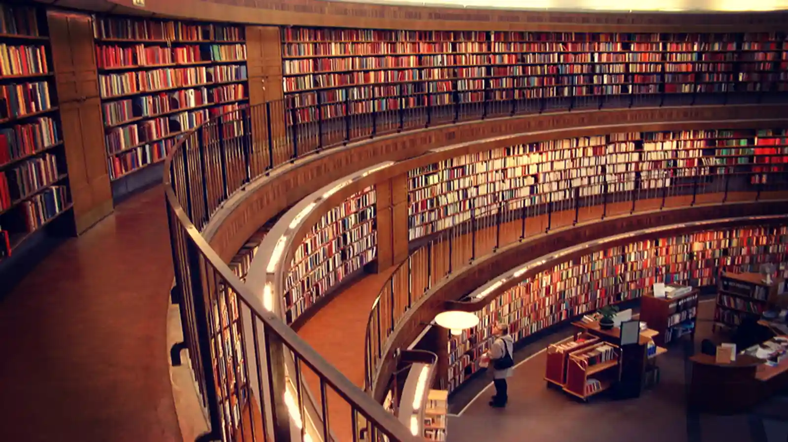 Education entrepreneurs hear! This is what investors are looking for