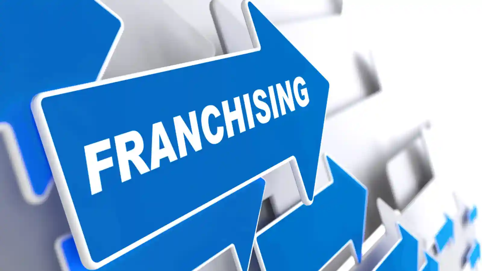 Why franchising is the future of education