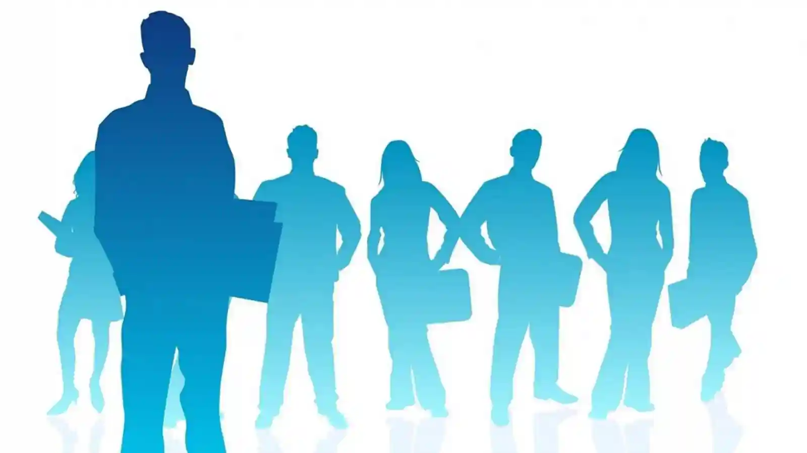 What can educational institutions do to enhance student employability?