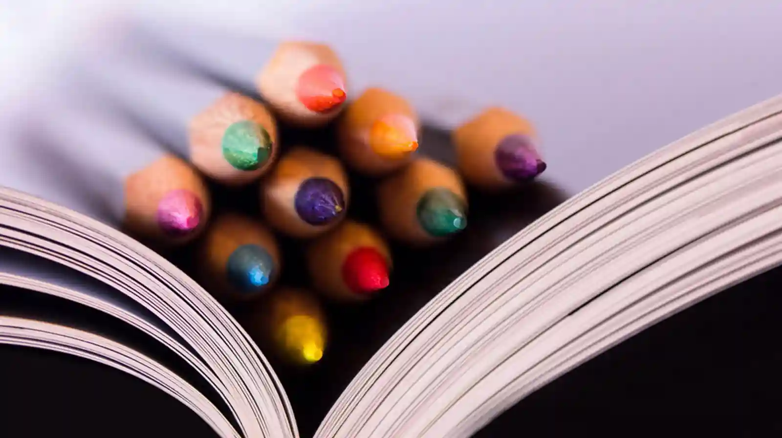 Top 5 ?Business Opportunities in Education Sector