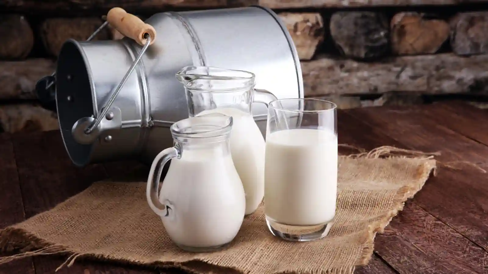 Things to Consider before Starting a Milk Distribution business