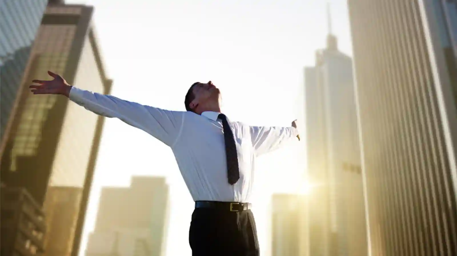 Young entrepreneurs of the education industry