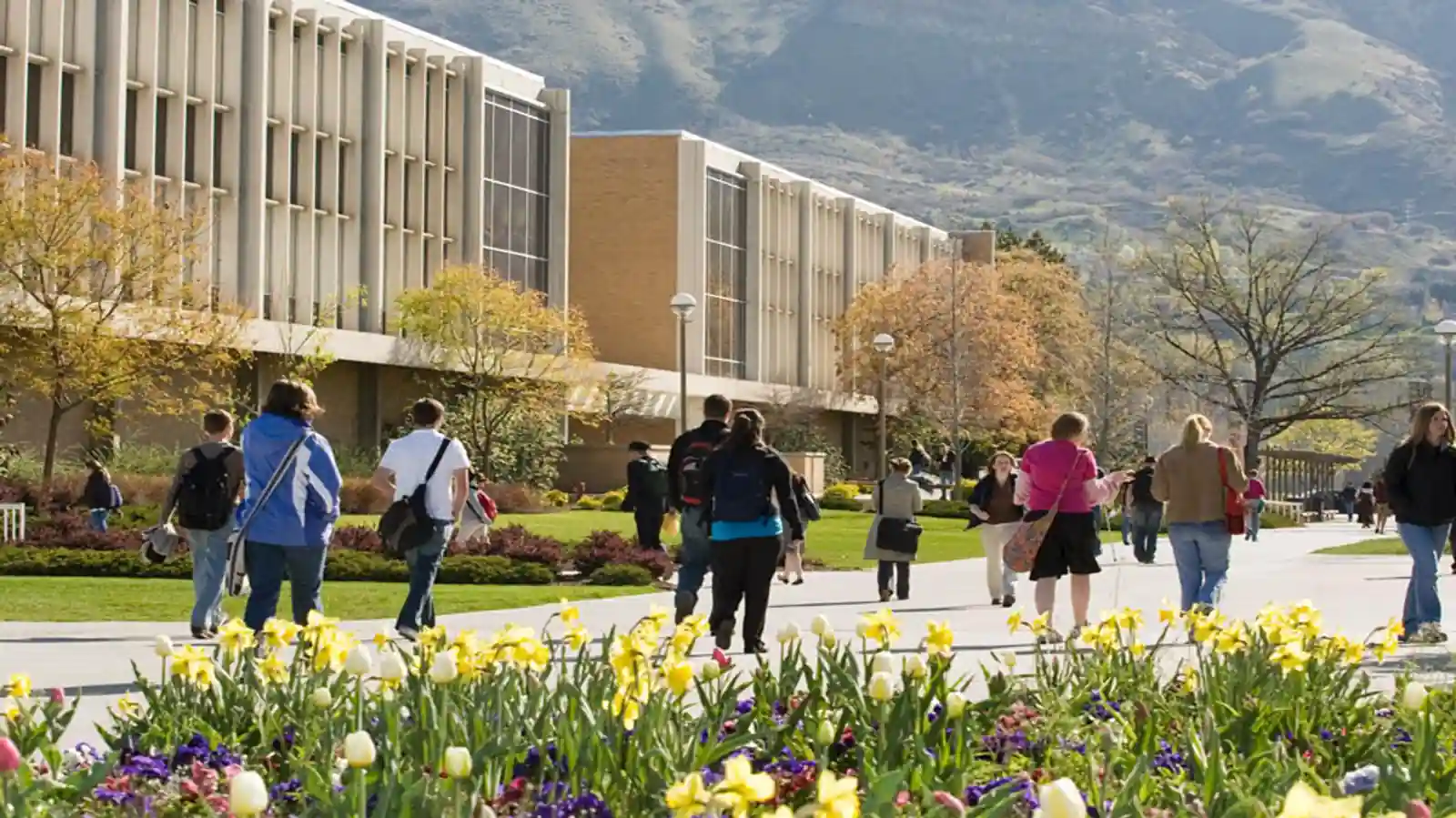 Six universities granted ‘Institute of Eminence’ status