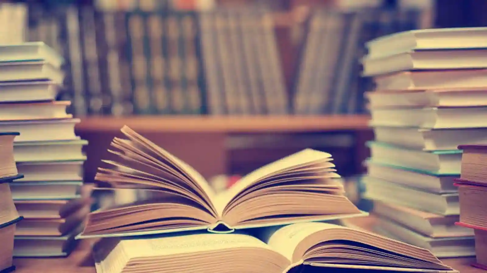 Edtech startup Lido Learning secures $3 mn in Series A funding round