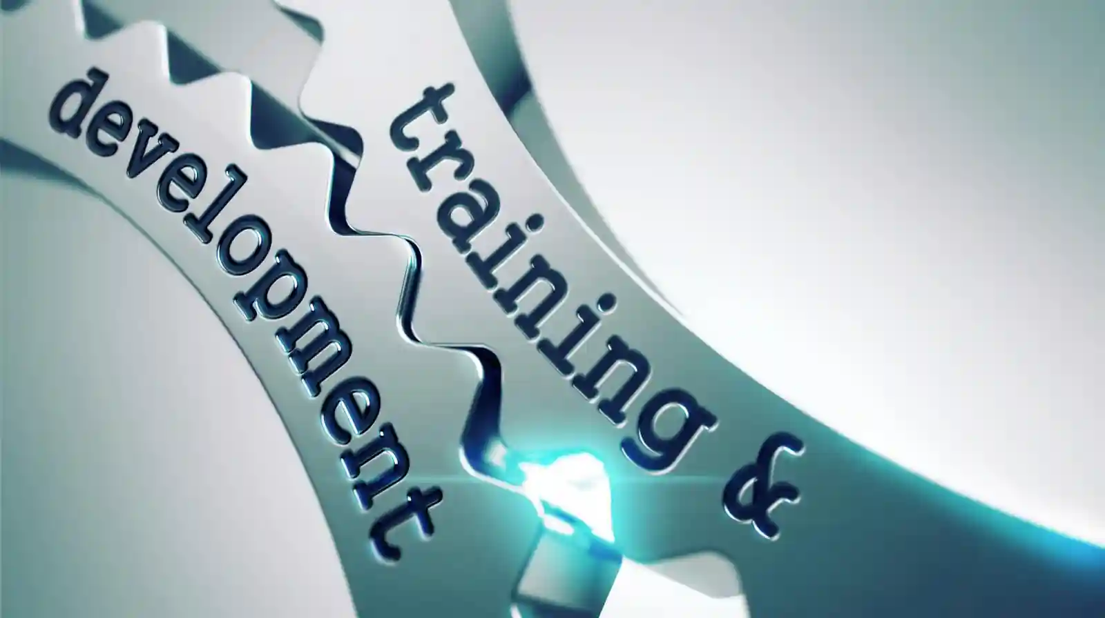 ?Leadburg raises undisclosed funding by the IvyCamp