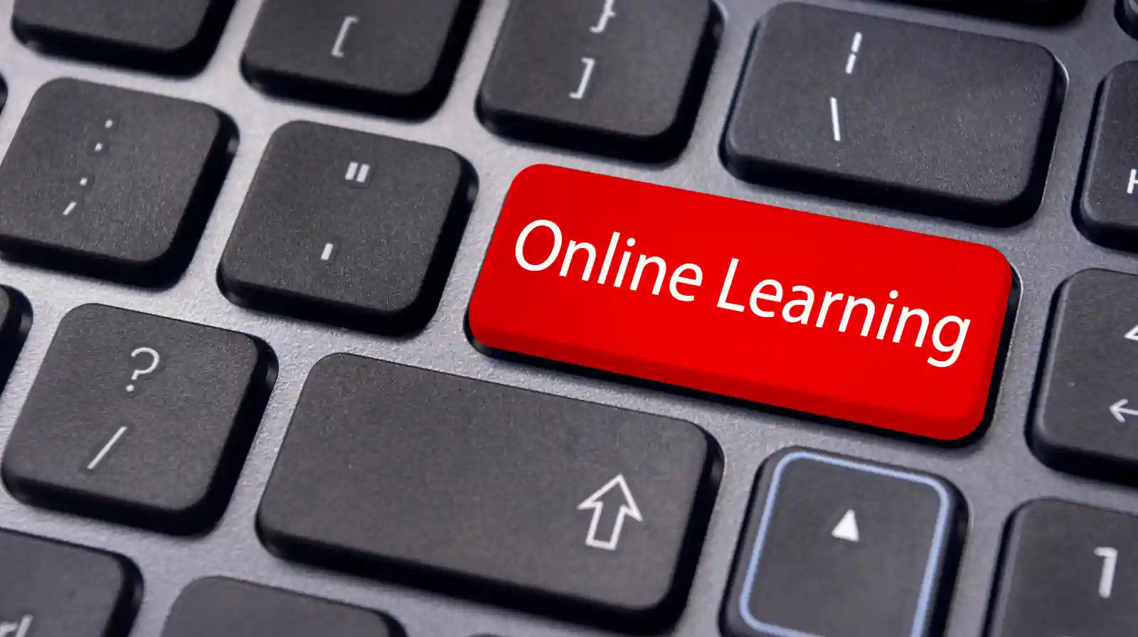 ?Nexus, Blume Ventures invests USD 4.5 mn funds in Unacademy