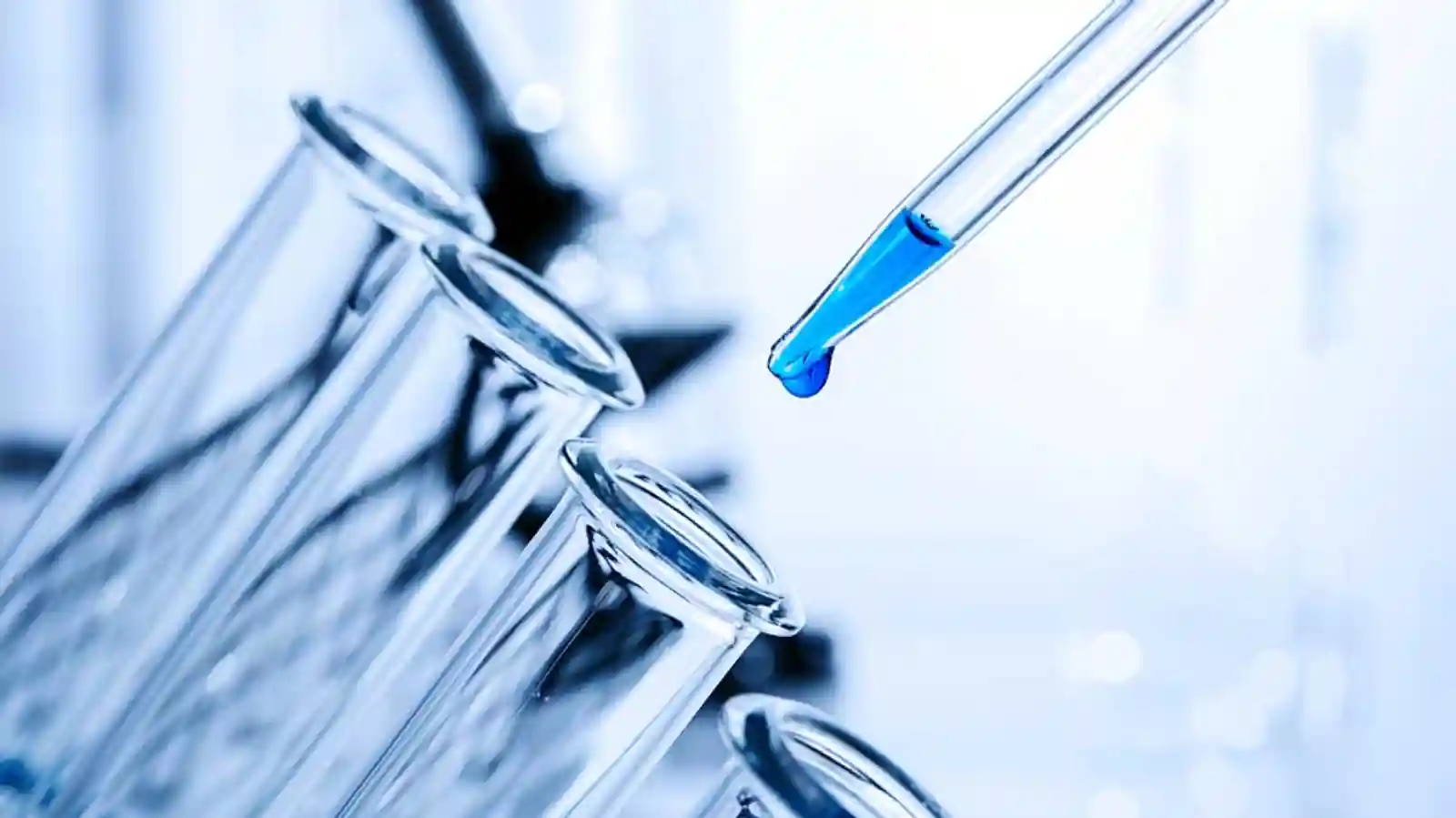 Biotech firm String Bio raises funds to create alternate proteins for global feed & food companies