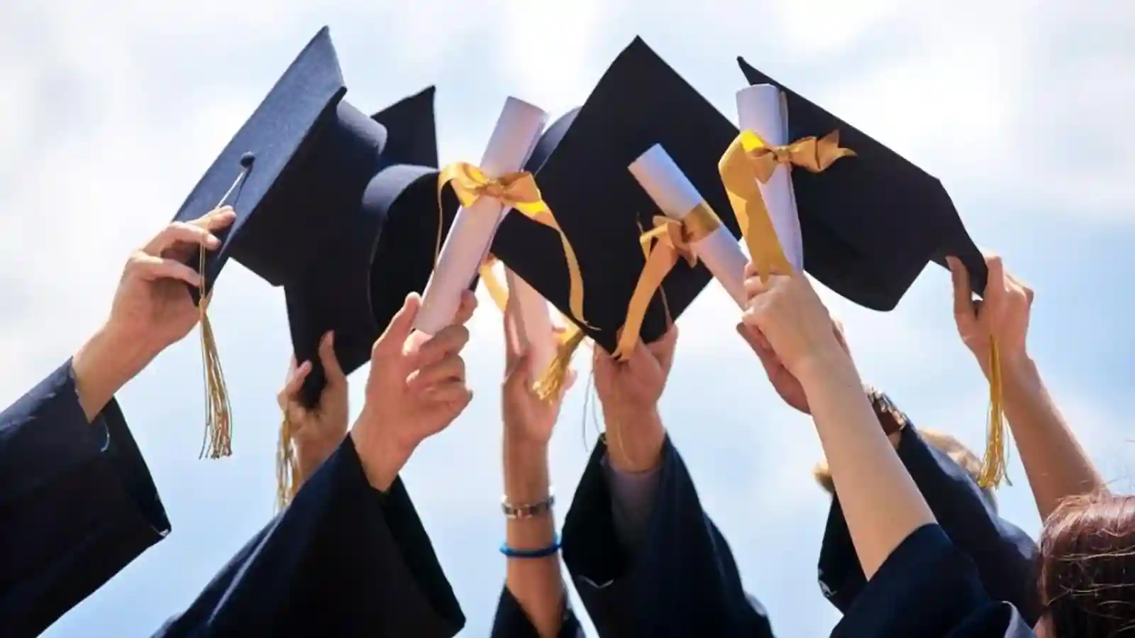 The Transformative Power Of A Global Faculty Network In Higher Education