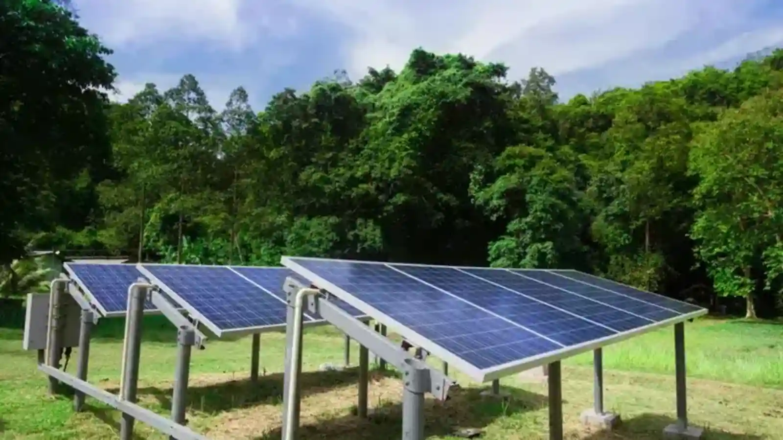 Dual Financing Strategy To Enhance MSMEs' Role In Renewable Energy Shift: IREDA
