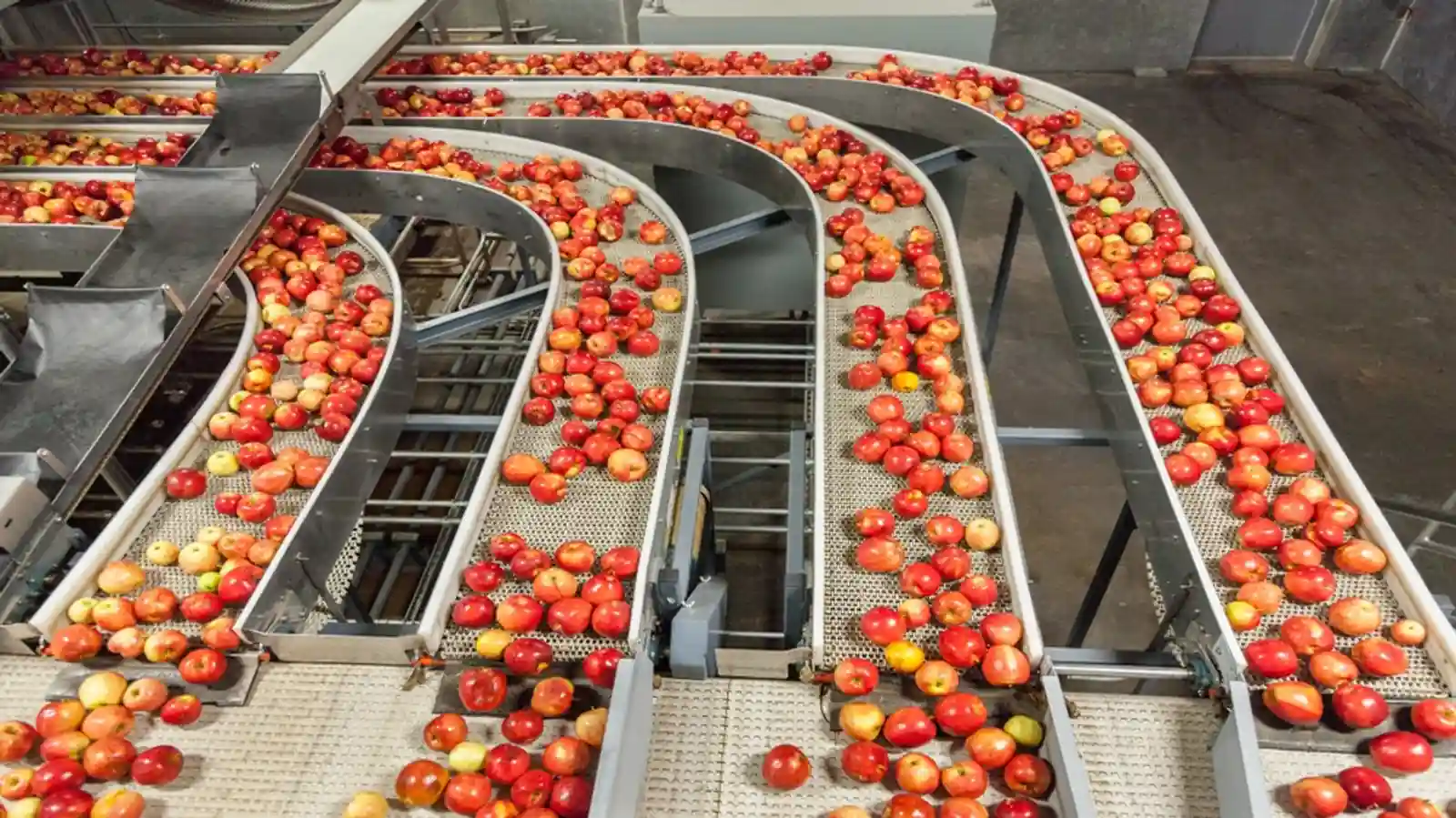 Ministry of Food Processing Industries Invites Applications under PM Kisan Sampada Yojana
