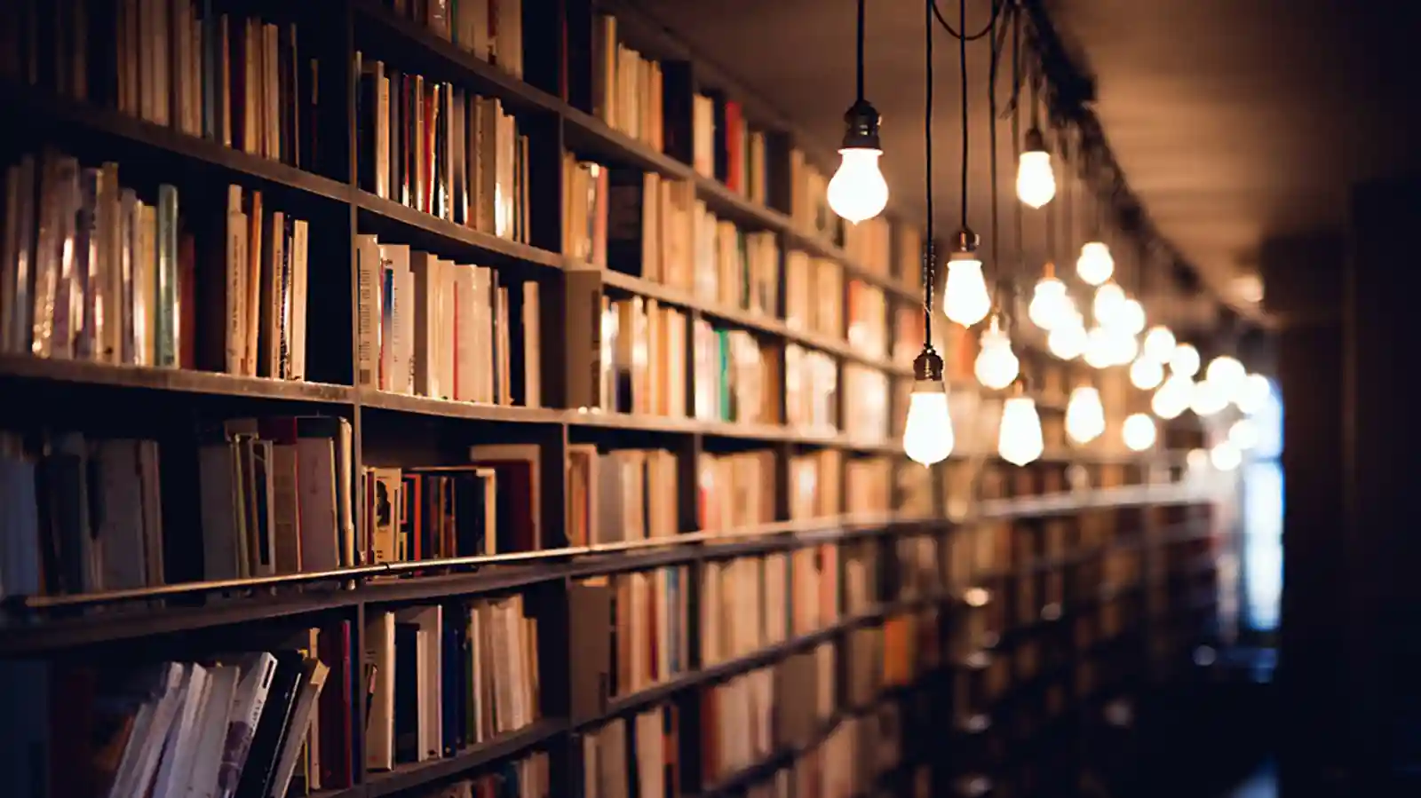 How This Agency Is Cultivating Reading Habits Among Tribal Children Through Hanging Libraries Concept