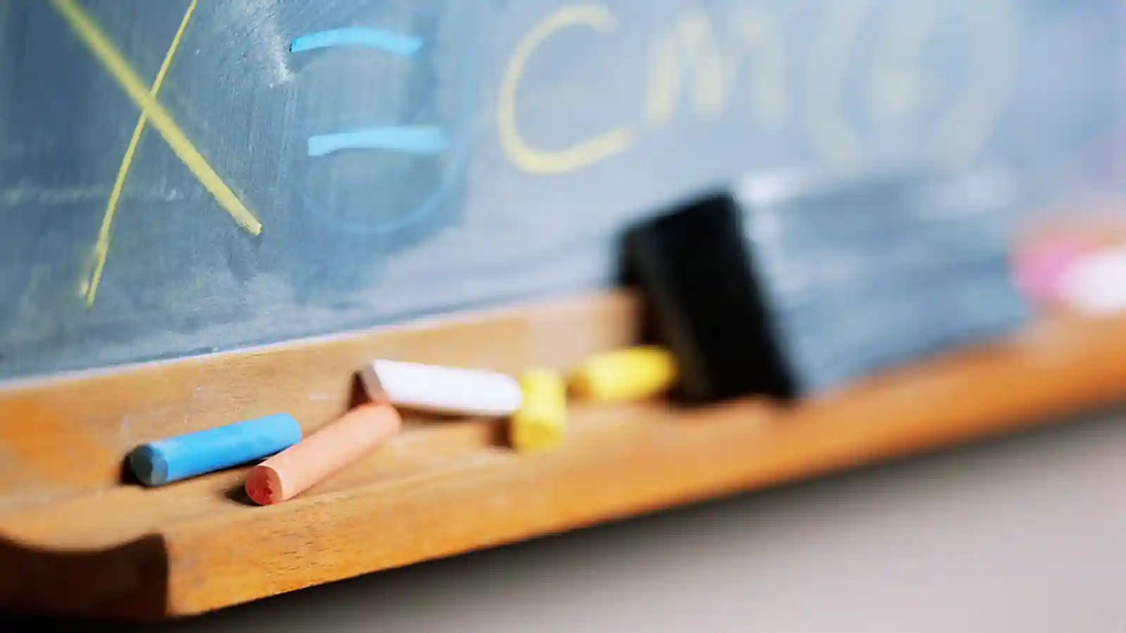 Best Education Business Opportunities In Tamil Nadu