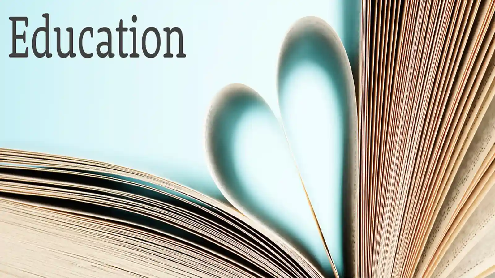 Elements Of Establishing A Successful Education Business