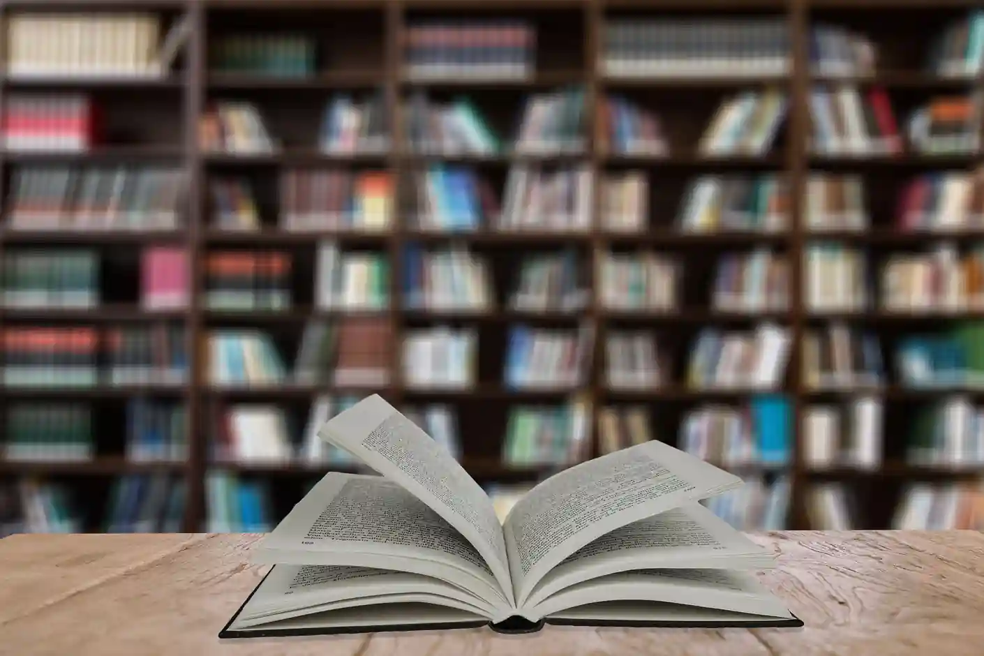 Some Major Reasons Why an Education Franchise Is a Profitable Business Option