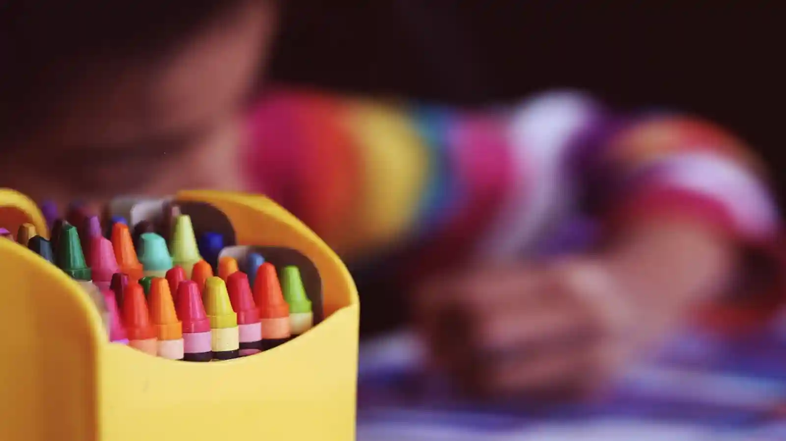 Top Five Business Ideas in Education and Training Sector