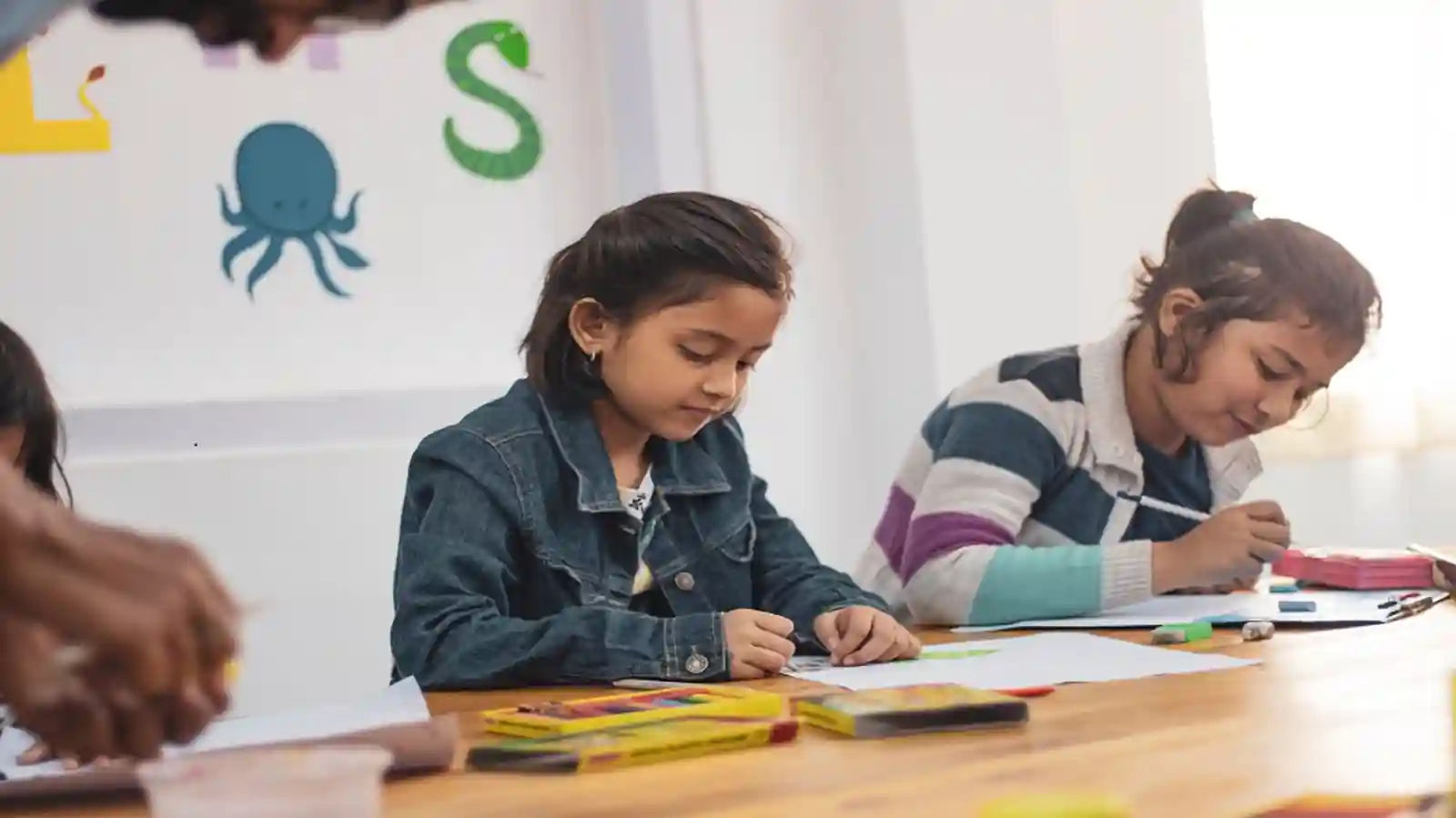 Select Your Favorite Among these Five Types of School Franchises
