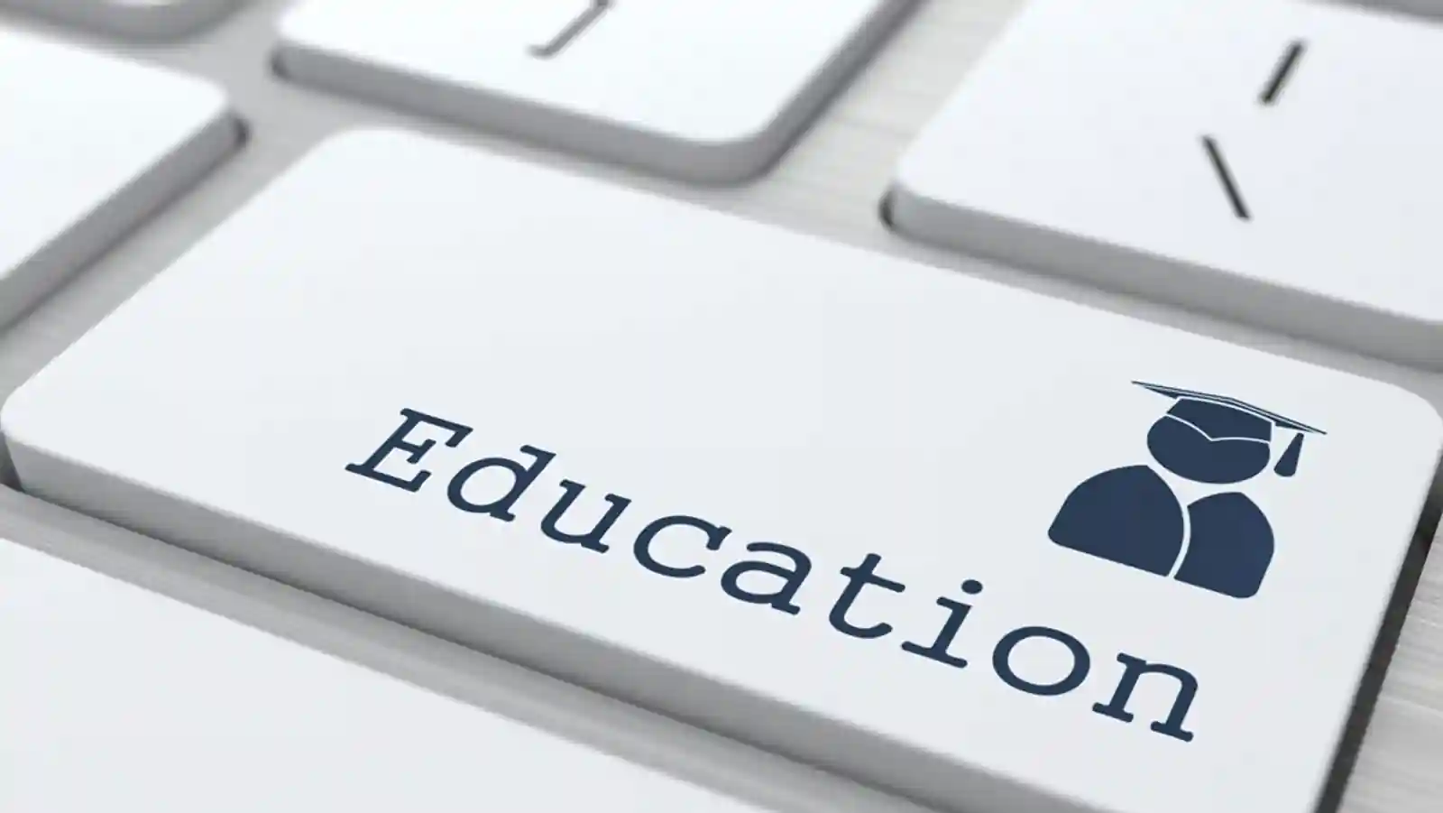 What does the future hold for Indian education industry?