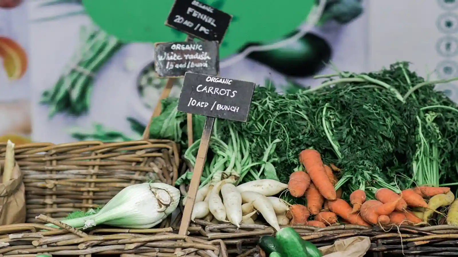 How Organic Products Distributorship is a Growing Business Opportunity