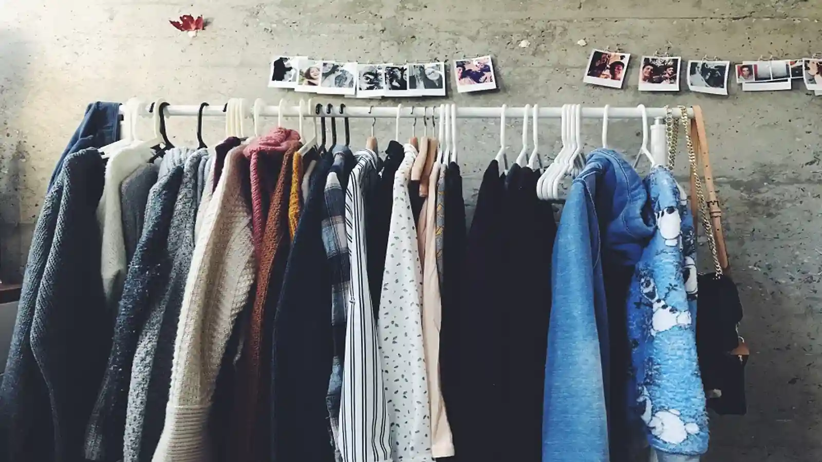 Knitting the Future with Apparel Distribution Business