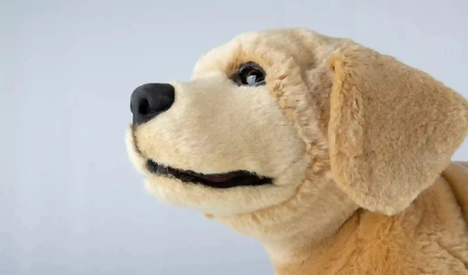 CES 2026: The Dawn of Physical AI and Everything Intelligent