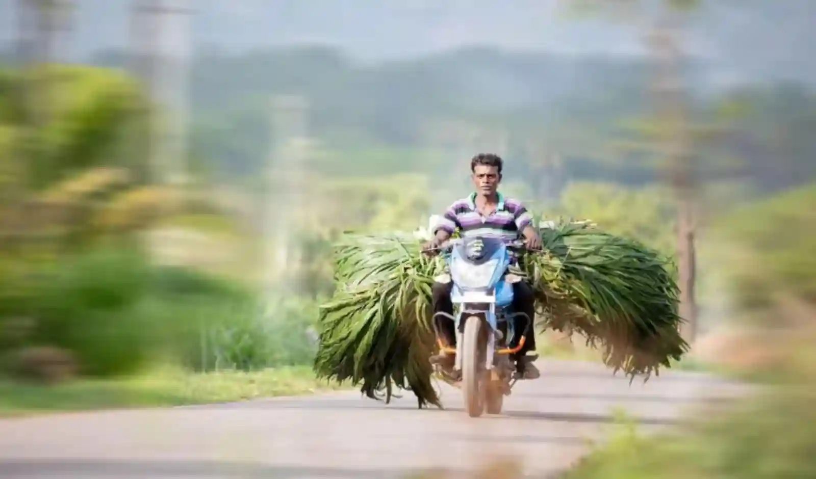 डिजिटल क्रेडिट आकलन से MSMEs को 52,300 करोड़ रुपये का सपोर्ट