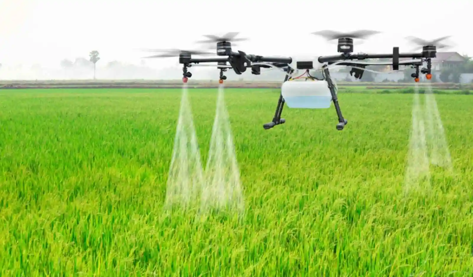Women in Agritech: Shanti Vishwakarma’s Success with Drone Farming