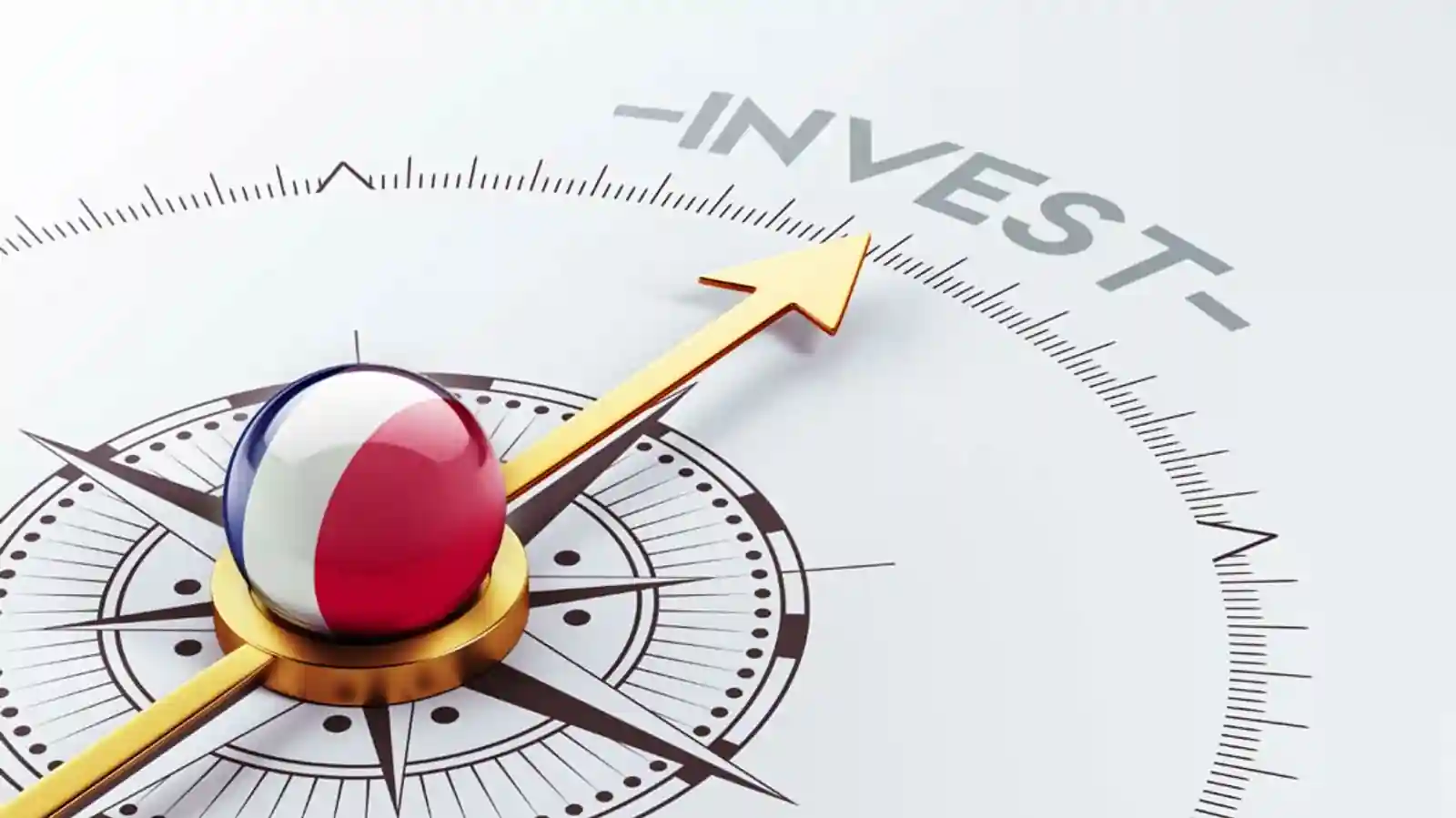 Prospects of Investing in Digital health and wellness startups