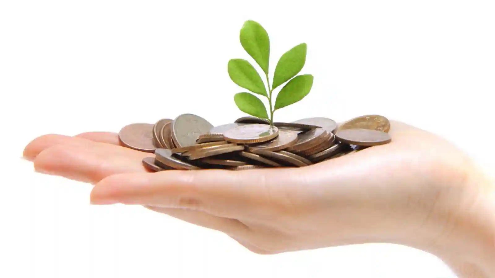PE Frim Neev Fund backs Lucknow-based Mahendra Educational