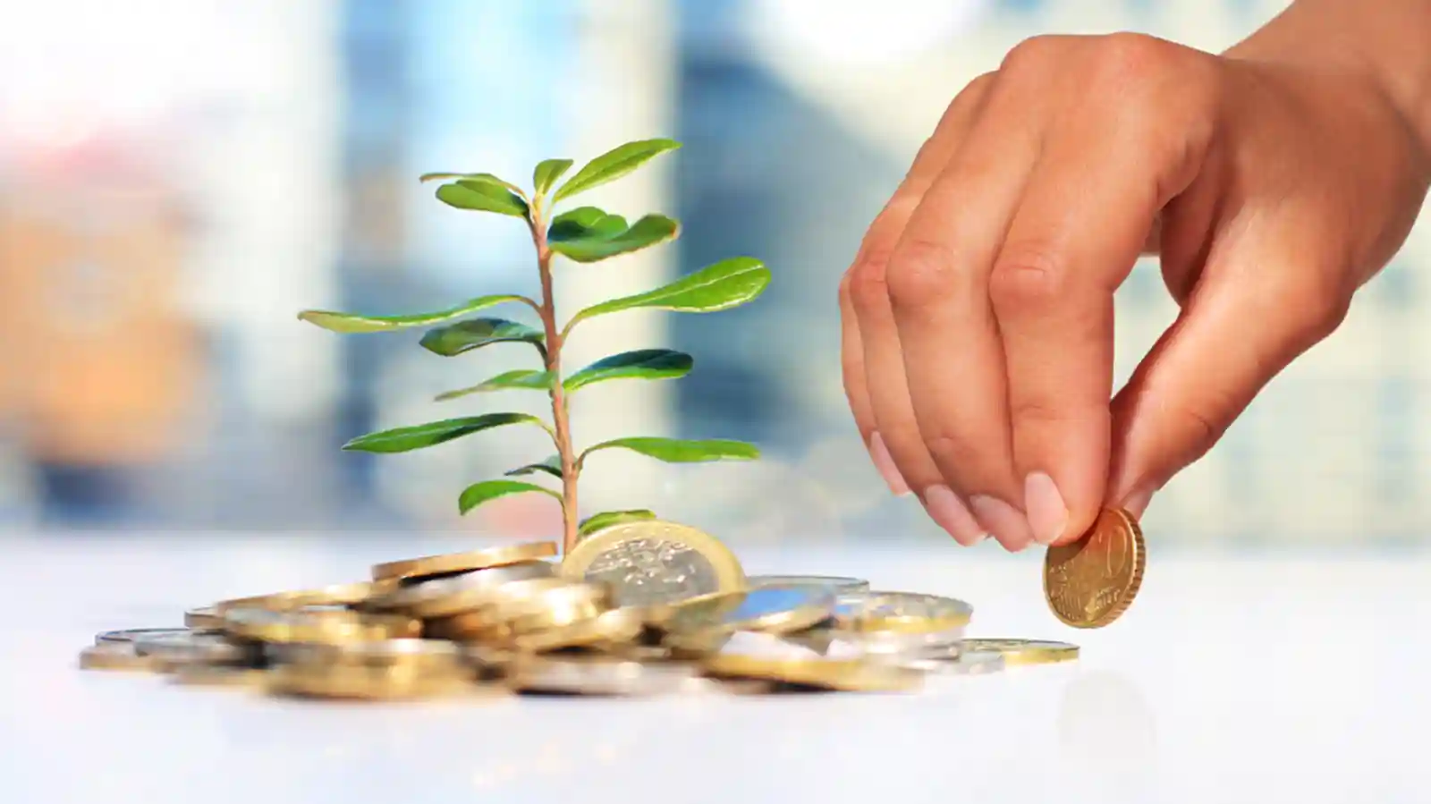 social gaming startup Cricnwin Raises Seed Funding From ZDream Ventures, others