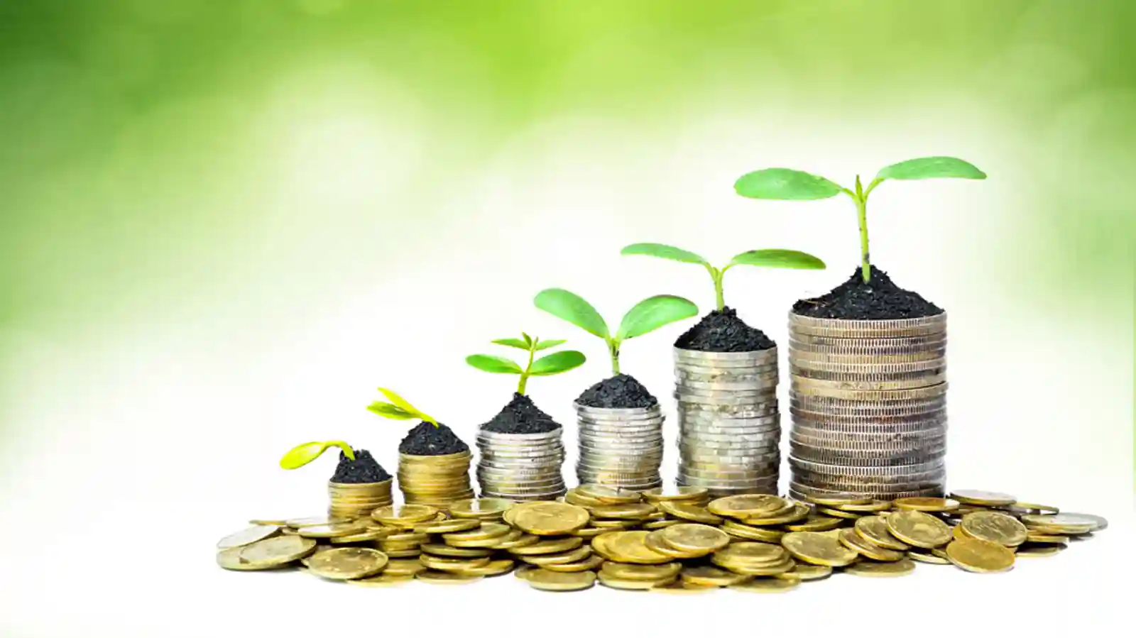B2B startup Bizongo Raises $22 mn fund from Facebook co-founder’s VC firm, others