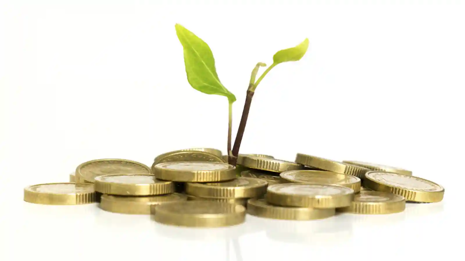 WestBridge-backed Aptus Value Housing To Get more funding from IFC