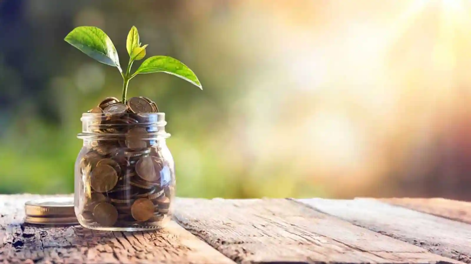 E-mobility startup Blu Smart secures seed funding to expand its offerings beyond Delhi-NCR