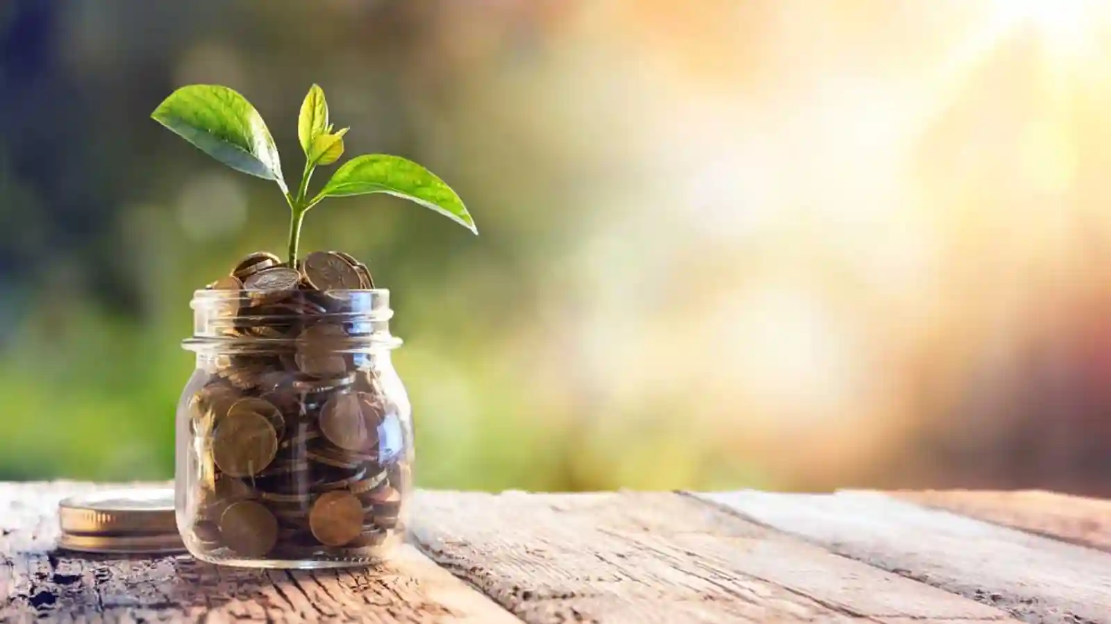 Used car marketplace Truebil secures $1 mn funding to strengthen its technological infrastructure