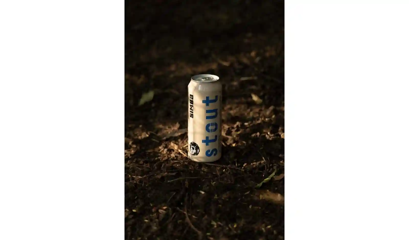 Simba Stout Return to Delhi