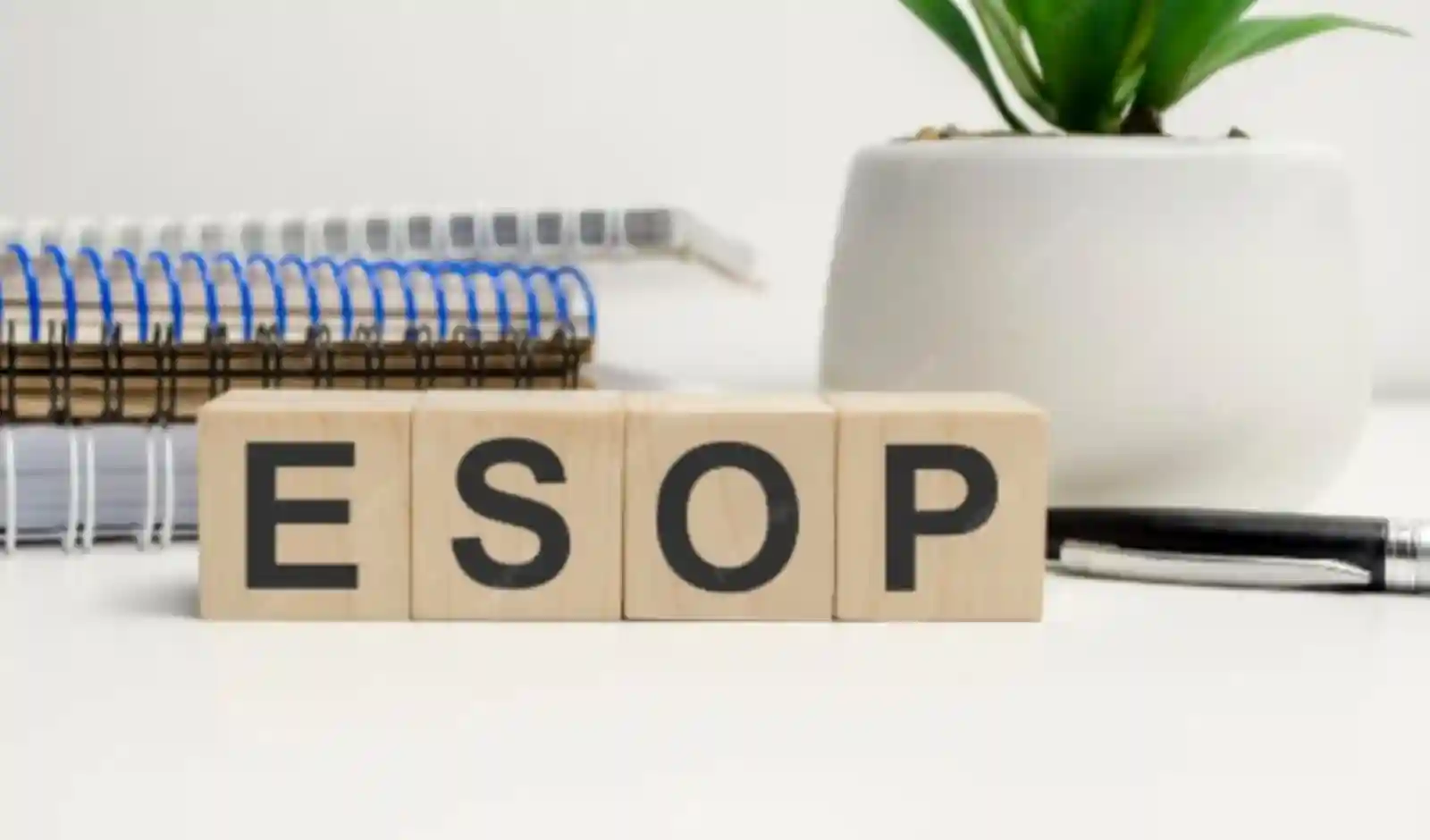 Zomato Parent Eternal Grants ESOPs Worth INR 167 Cr to Employees