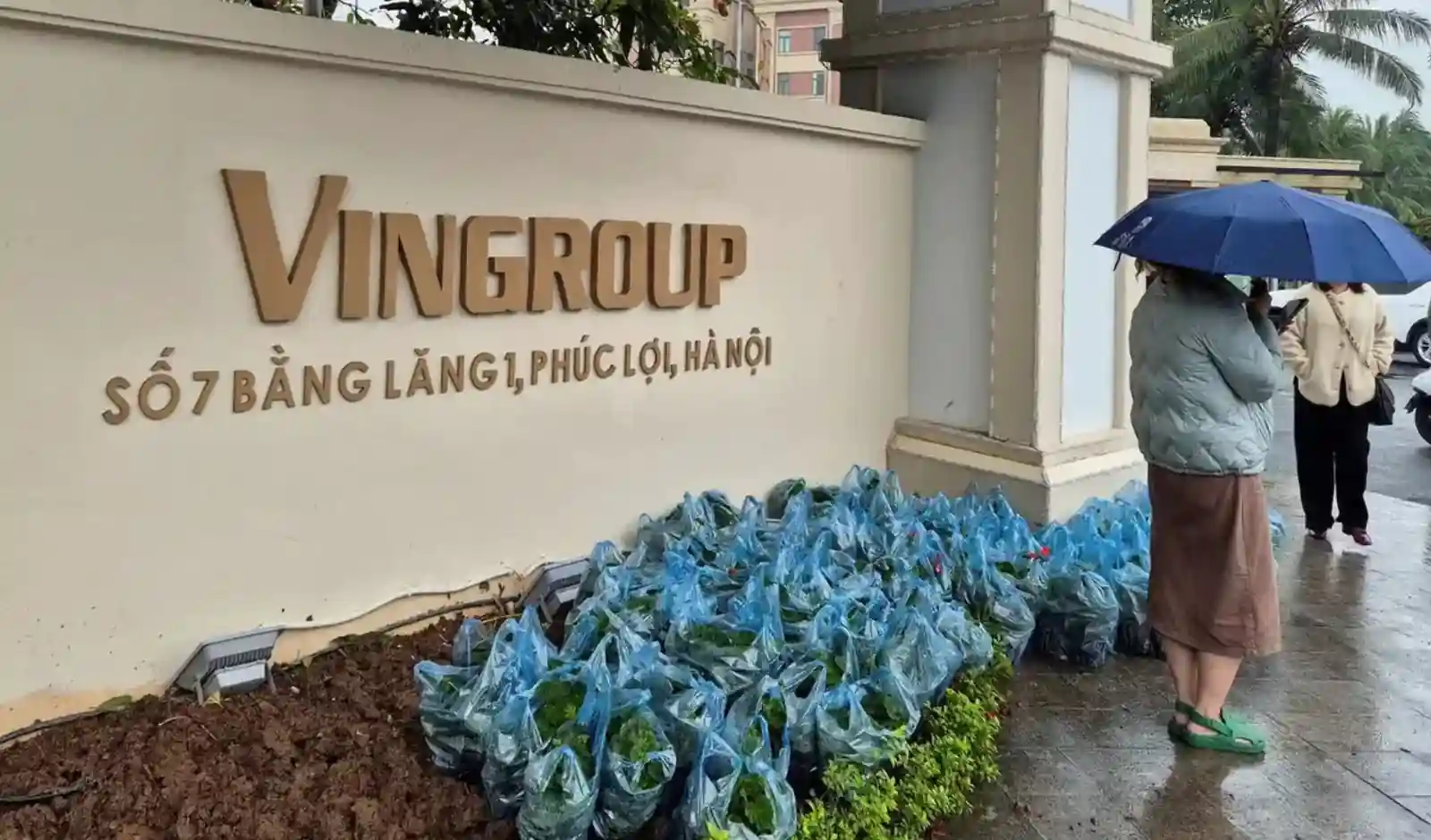 VinFast Eyes Break-Even by Next Year