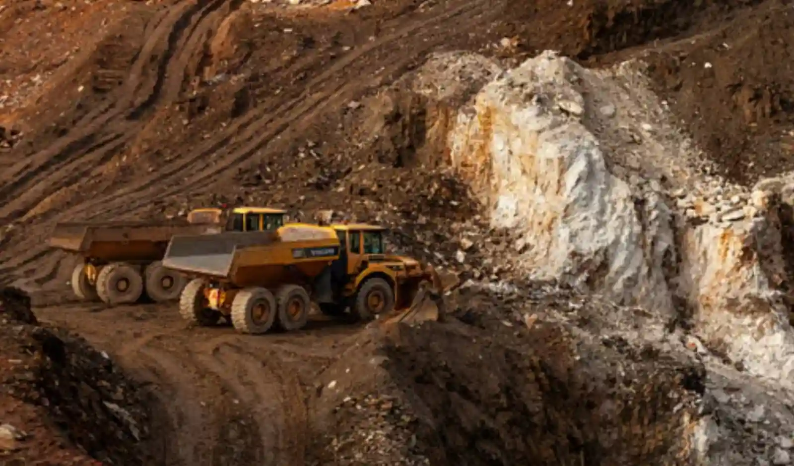 Rising Raw Material Costs Hit EV Margins