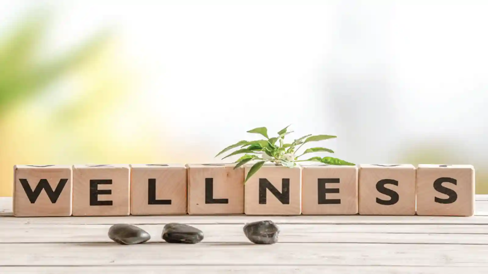 Digital therapeutics firm 'Wellthy Therapeutics' Pumps In Rs 13.5 Cr funding